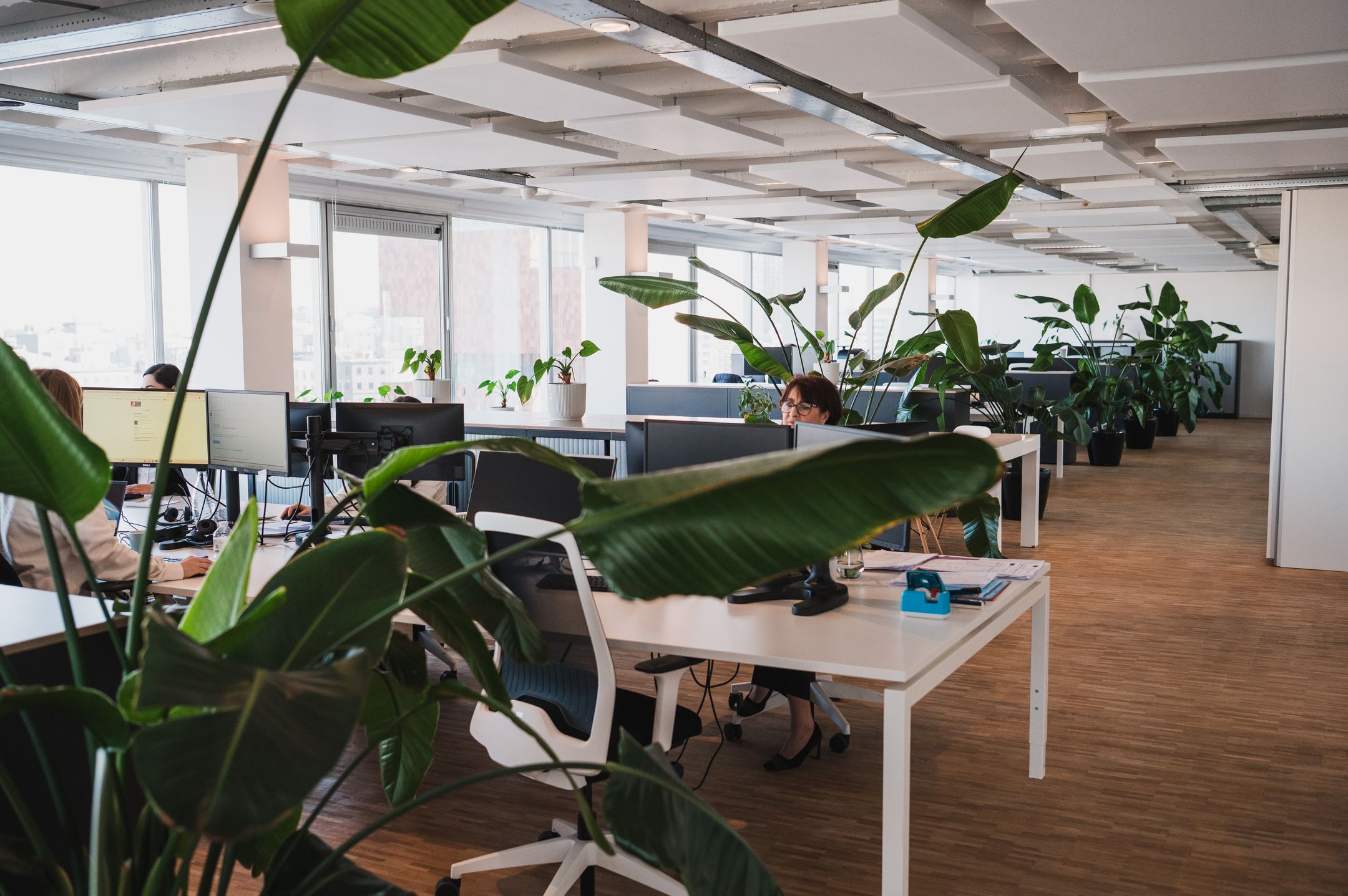 20260303 Bockstael_2-41